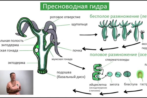 Кракен оф сайт