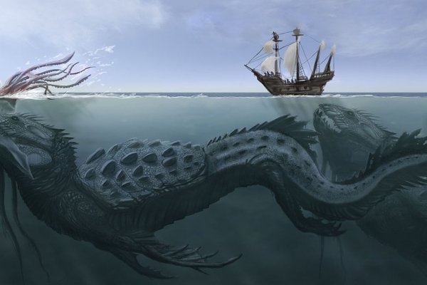 Kraken 12g