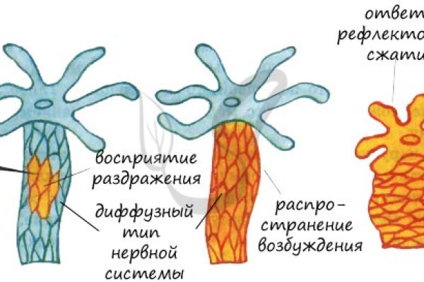 Кракен krakken15at com
