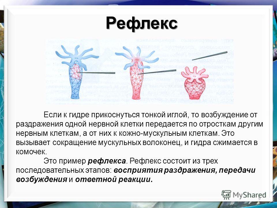 Как зайти на маркетплейс кракен
